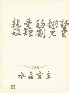 亲爱的翻译官小姐短剧免费观看高清版