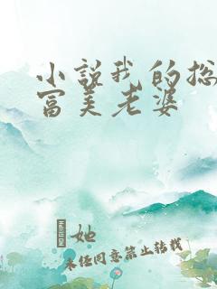 小说我的总裁白富美老婆