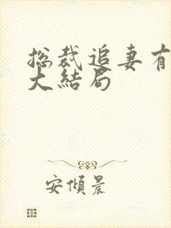 总裁追妻有点甜大结局