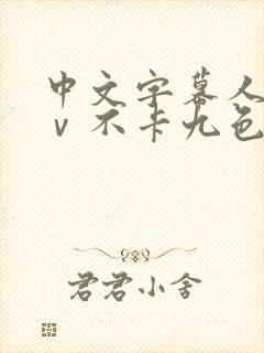 中文字幕人妻aⅴ不卡九色