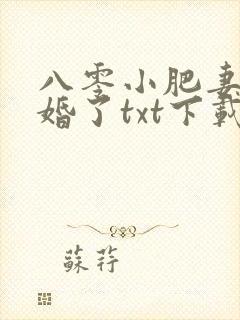 八零小肥妻她闪婚了txt下载