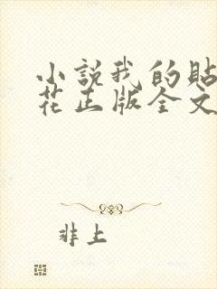 小说我的贴身校花正版全文下载