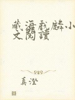 藏海戏麟小说全文阅读