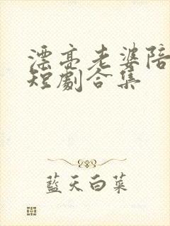 漂亮老婆陪过年短剧合集