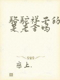 骆驼祥子的作者是老舍吗