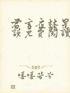 君玄夜林星瑶小说免费阅读