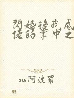 闪婚后我成了大佬的掌中之物完整版