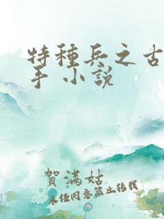 特种兵之古武高手 小说