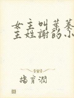 女主叫叶蓁蓁男主姓谢的小说