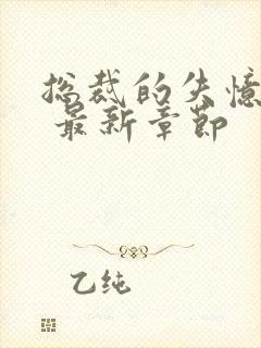 总裁的失忆甜妻 最新章节