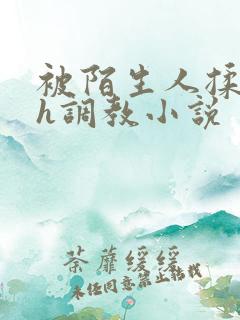 被陌生人揉花蒂h调教小说