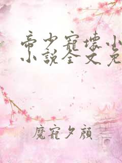 帝少宠坏小娇妻小说全文免费阅读