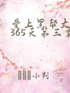 爱上黑帮大佬的365天第三季