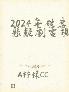 2024年破案悬疑剧电视剧