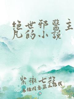 绝世邪医主角林凡的小说