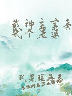 武神主宰秦尘有几个老婆