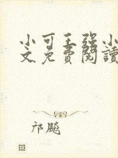 小可王强小说全文免费阅读