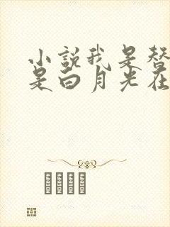 小说我是替身也是白月光在线看全本