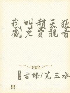 我叫赵天狄电视剧免费观看