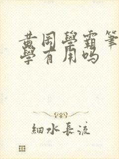 黄冈学霸笔记小学有用吗