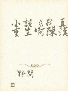 小说《我真没想重生啊陈汉升》