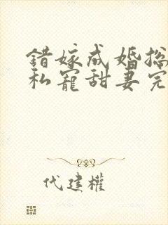 错嫁成婚总裁的私宠甜妻完整版