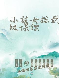 小说女总裁的神级保镖