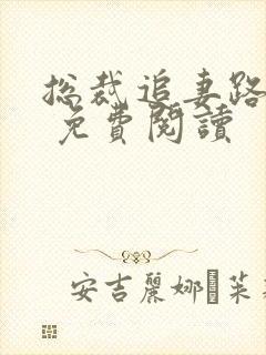 总裁追妻路漫漫 免费阅读