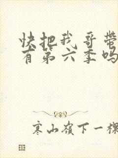 快把我哥带走还有第六季吗