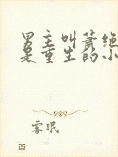 男主叫萧绝女主是重生的小说