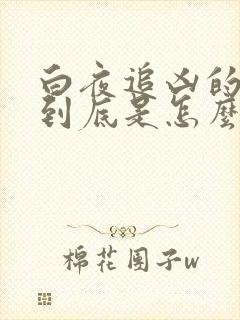 白夜追凶的结局到底是怎么回事