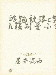 逃跑被狠c哭高h强制爱小说