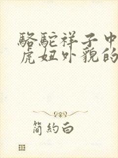 骆驼祥子中描写虎妞外貌的原句