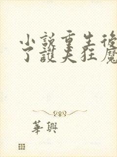 小说重生后我成了护夫狂魔下载