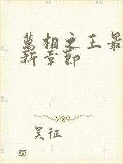 万相之王最新更新章节