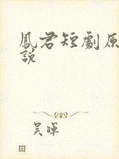 凤君短剧原著小说
