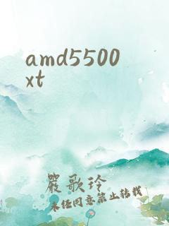 amd5500xt