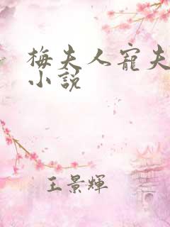 梅夫人宠夫日常小说