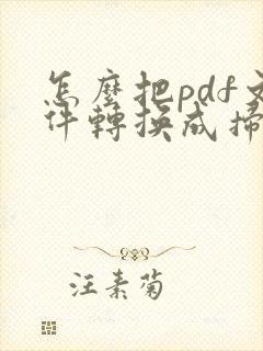 怎么把pdf文件转换成扫描件