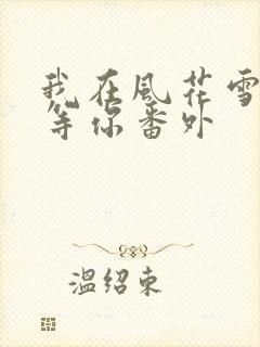 我在风花雪月里等你番外