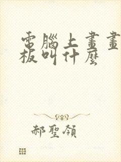 电脑上画画用的板叫什么