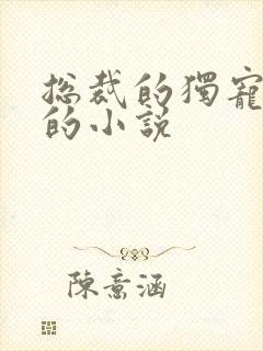 总裁的独宠甜妻的小说