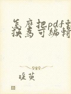 怎么把pdf转换为可编辑的文件