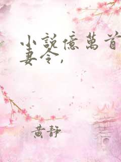 小说亿万首席追妻令,