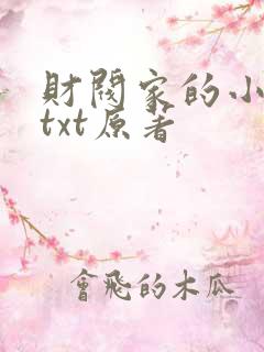 财阀家的小儿子txt原著