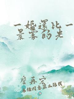 一婚还比一婚高 晨雾的光