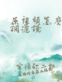 原视频怎么美颜调滤镜