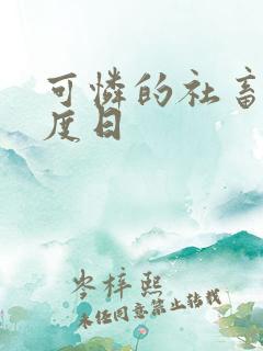 可怜的社畜 东度日