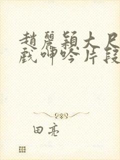 赵丽颖大尺度床戏呻吟片段