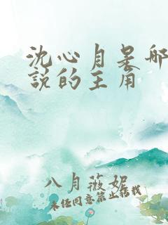 沈心月是哪部小说的主角